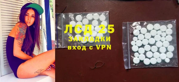 индика Аркадак