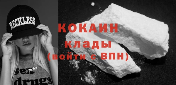 индика Аркадак