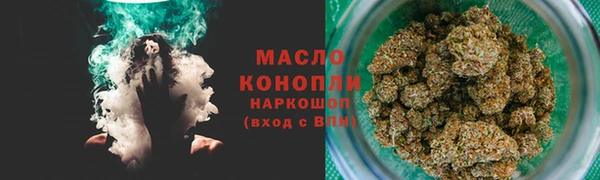индика Аркадак