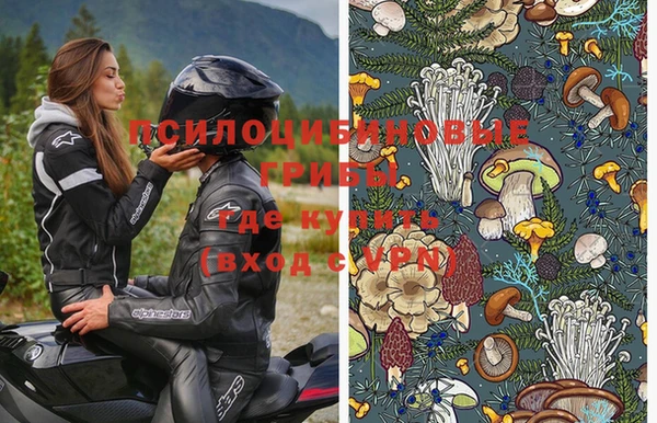 индика Аркадак