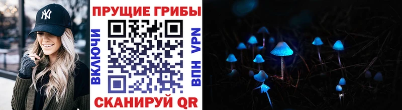 Псилоцибиновые грибы Psilocybine cubensis  Солнечногорск 